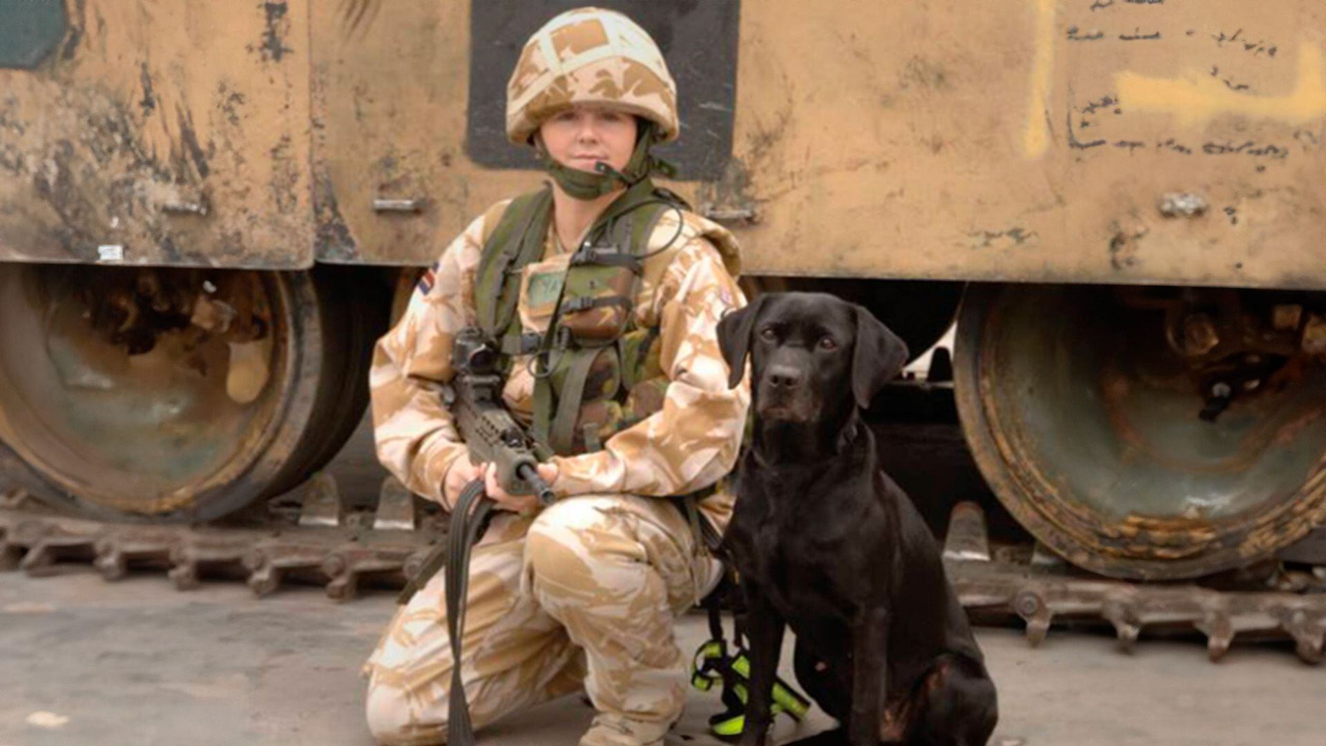 Sadie detectó un artefacto explosivo a las afueras de los cuarteles generales de la ONU en Kabul en 2005.  Sadie, perros, razas de perros, labrador, mascotas, animales, Héroes de guerra