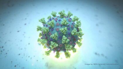 Una imagen informática creada por Nexu Science Communication junto con el Trinity College de Dublín, muestra un modelo estructuralmente representativo de un betacoronavirus que es el tipo de virus vinculado a COVID-19, más conocido como el coronavirus vinculado al brote de Wuhan - REUTERS/Comunicación científica de NEXU
