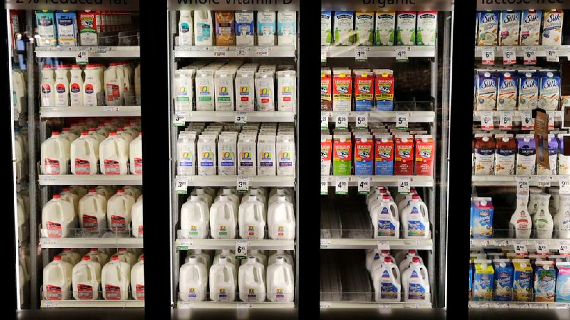 La Revista del Consumidor reveló cuáles son las leches deslactosadas que sí cumplen