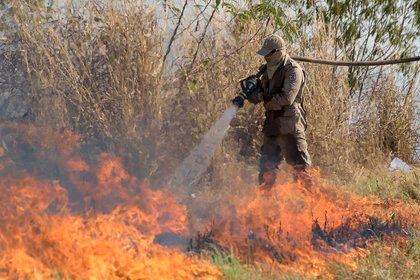 Las alarmas de deforestación de la Amazonía entre enero y septiembre de este año abarcaron 7.063 kilómetros cuadrados, lo que supone un descenso del 10,25 % frente a los primeros nueve meses de 2019. EFE/Rogerio Florentino/Archivo
