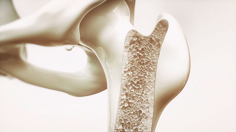 La adolescencia es la etapa ideal para prevenir la osteoporosis (Shutterstock)