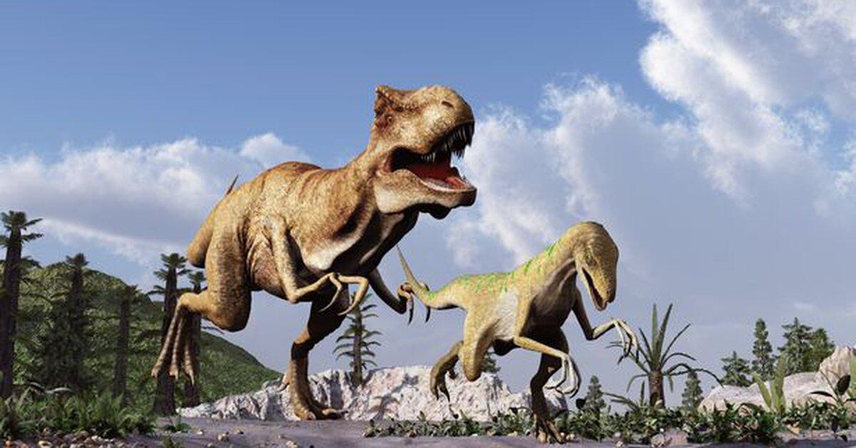 Descubren una nueva especie de dinosaurio relacionada con el ...