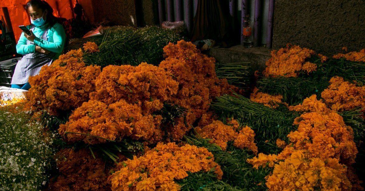 Mexican flower, handicraft and food merchants hope their sales will revive this Day of the Dead