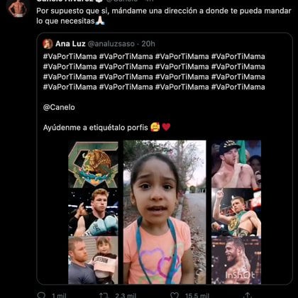 Niña pide ayuda al Canelo (Foto: Twitter@Canelo)