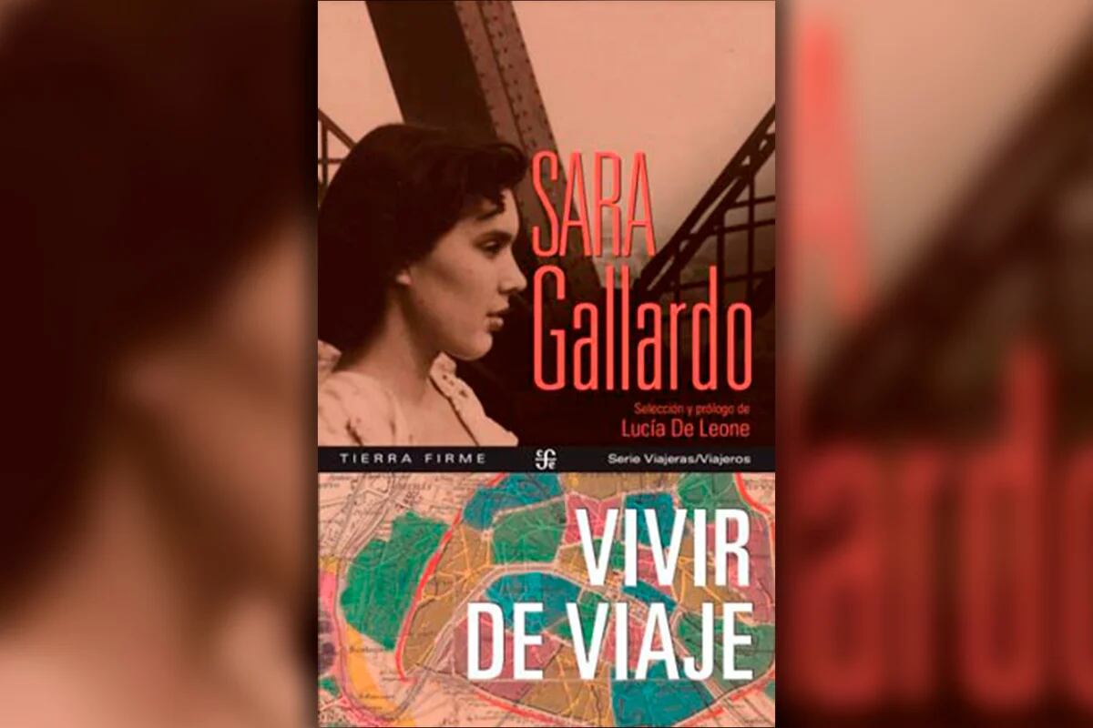 Se puede “Vivir de viaje”? Sara Gallardo, la escritora que era extranjera  hasta en su propio país - Infobae