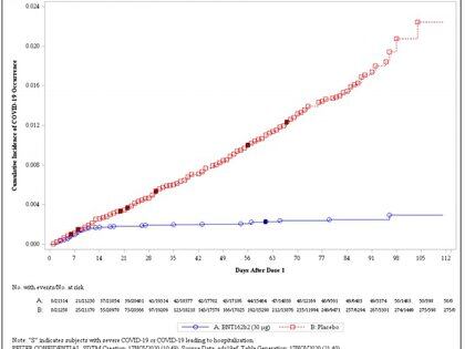 La curva de casos positivos en el estudio de Pfizer: entre los 7 y 14 días, los participantes que recibieron la fórmula (en azul) dejaron de aumentar, mientras que los del placebo (en rojo) continuaron en crecimiento lineal