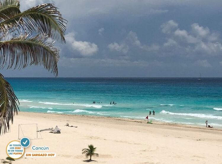 Asalto al paraíso: cómo "El Mencho" y el CJNG se infiltraron en Cancún y la Riviera Maya Cancun-sargazo-sin