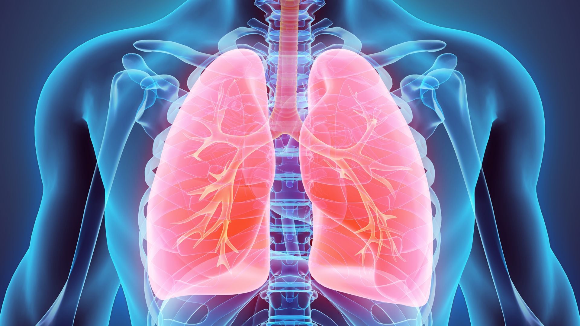 Para llevar a cabo la investigación, los especialistas midieron la función pulmonar mediante la capacidad de difusión de monóxido de carbono a uno, seis y doce meses después del inicio de la enfermedad (iStock) 