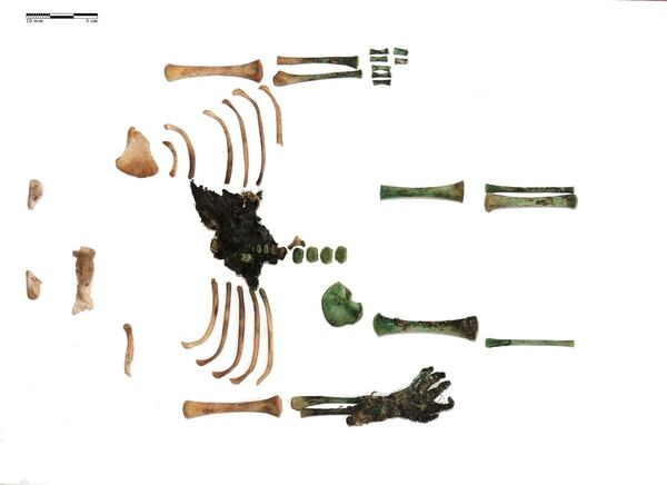Los restos hallados en una urna en el sur de Hungría. La mano derecha sólo fue momificada (Universidad de Szeged)
