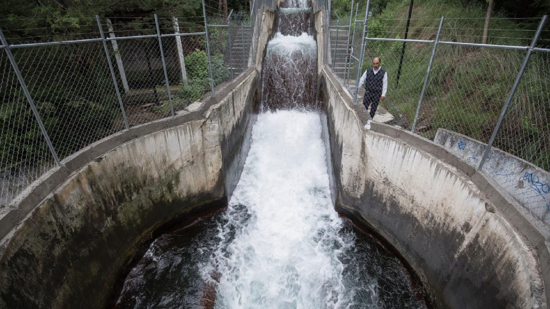 (Foto: Twitter/Observavalle)