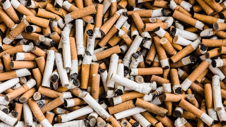 "Aproximadamente 4,5 mil millones de filtros de cigarrillos contaminan cada año nuestros océanos, ríos, veredas de las c 