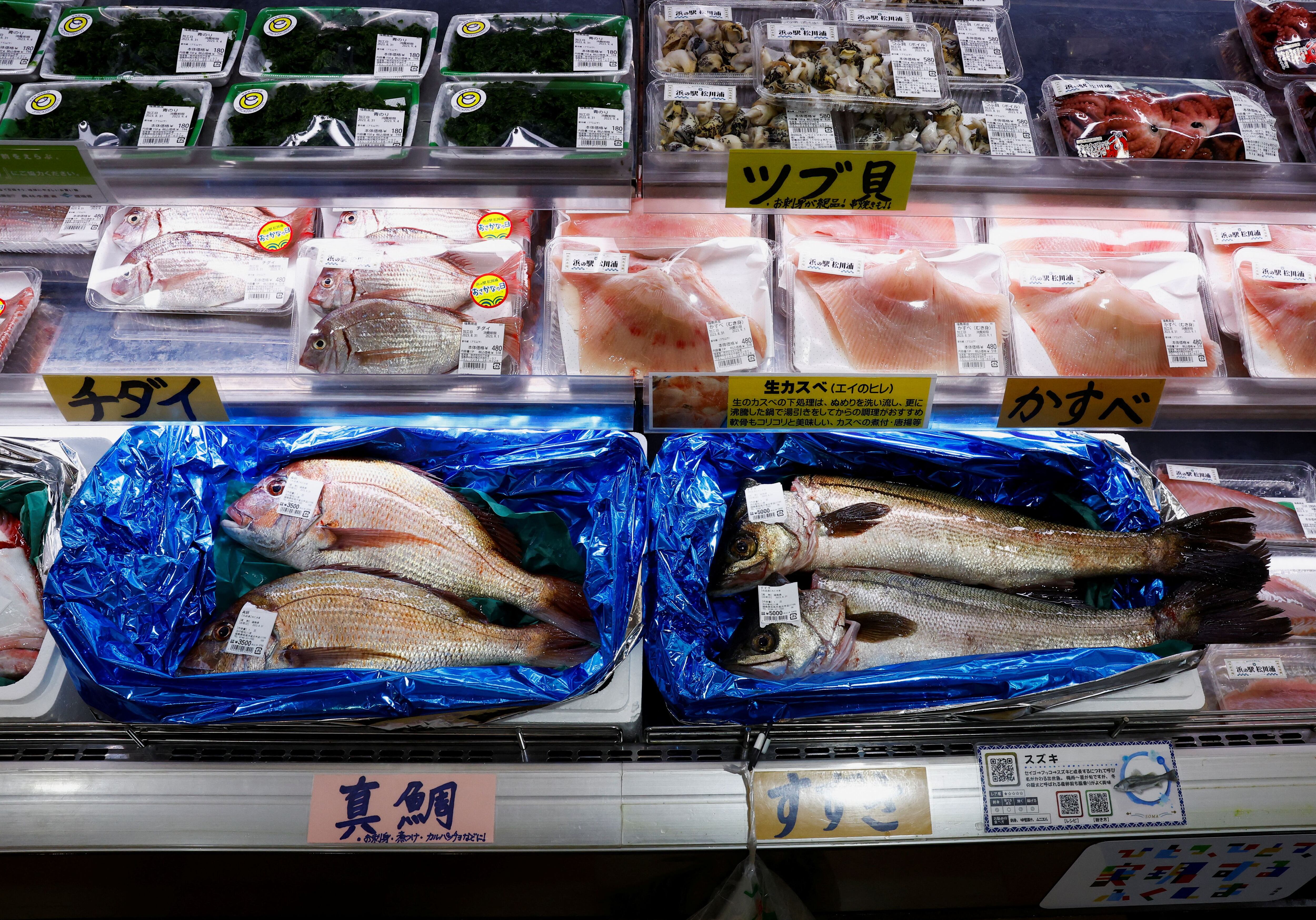 Una vista de mariscos y peces capturados localmente en el Mercado de Pescado Hamanoeki y el patio de comidas en Soma, Prefectura de Fukushima, Japón, este 31 de agosto de 2023 (Reuters)