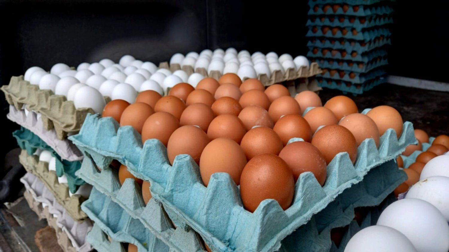 Aumenta el contrabando de huevos en el sur del país.