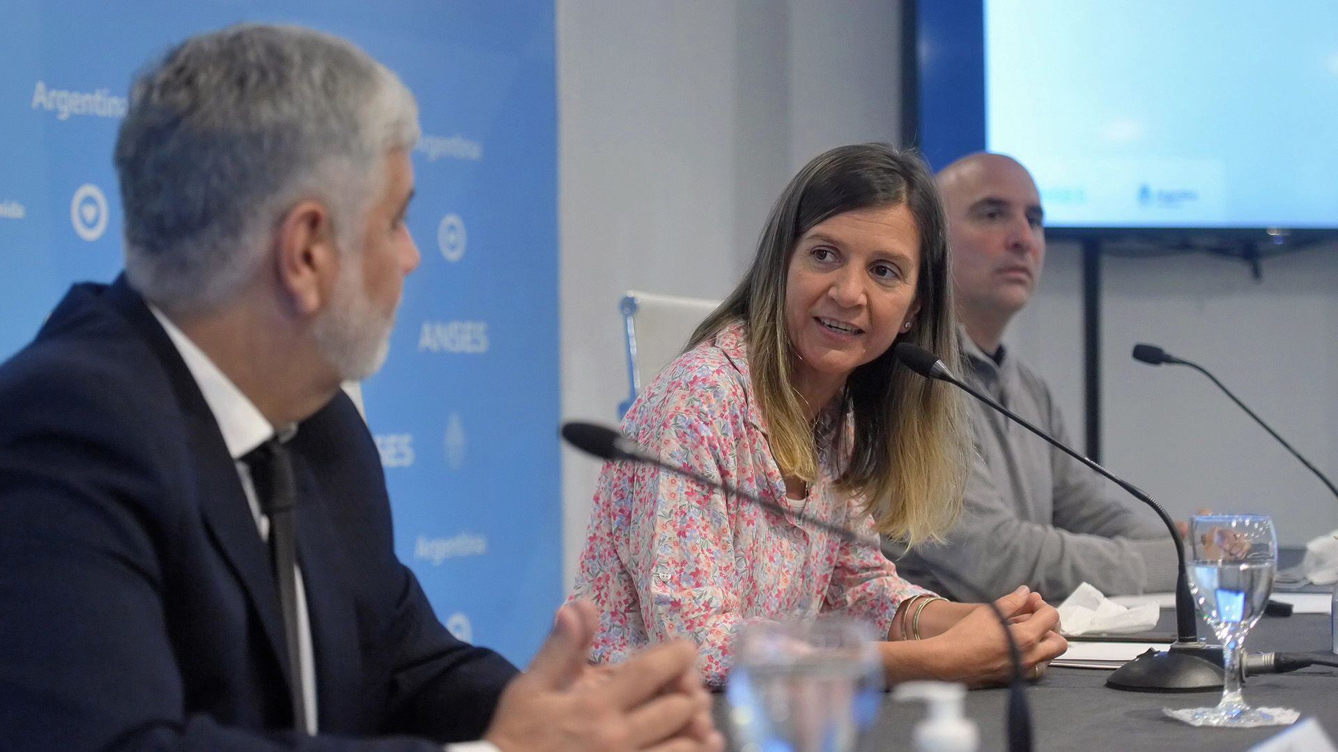 Fernanda Raverta, titular de la ANSES