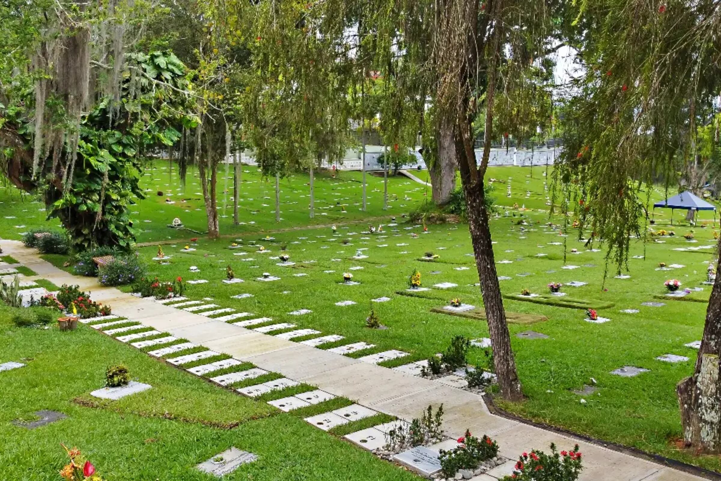 Cementerio - Bucaramanga