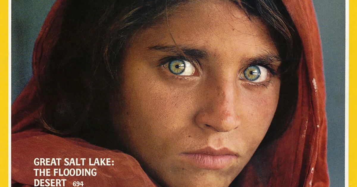 La “ragazza afgana” dagli occhi verdi di National Geographic Evacuata in Italia