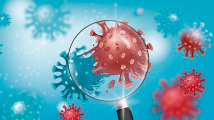 La mutación del virus preocupa a los infectólogos y a los gobiernos donde una nueva ola de contagios ocurre (Shutterstock.com)