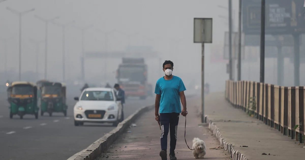 Pollution in New Delhi: A toxic blanket blankets the city, schools close, construction stalls