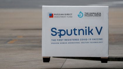 Llegada de uno de los primeros cargamentos de vacunas Sputnik V al aeropuerto de Ezeiza (REUTERS/Agustin Marcarian)