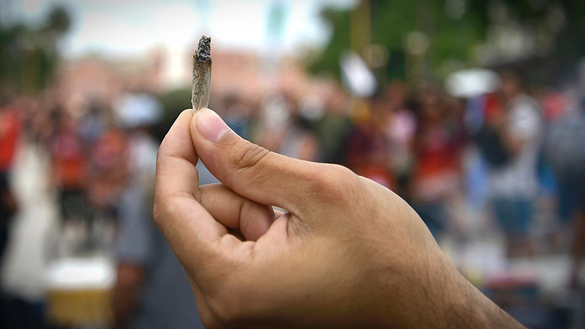 El promedio de las incautaciones de marihuana en 2019 en la mayoría de los casos fue de 8 gramos (Gustavo Gavotti)