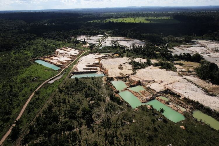La luz verde del gobierno de Bolsonaro a la deforestación entorpece las relaciones entre ambos bloques (Reuters)