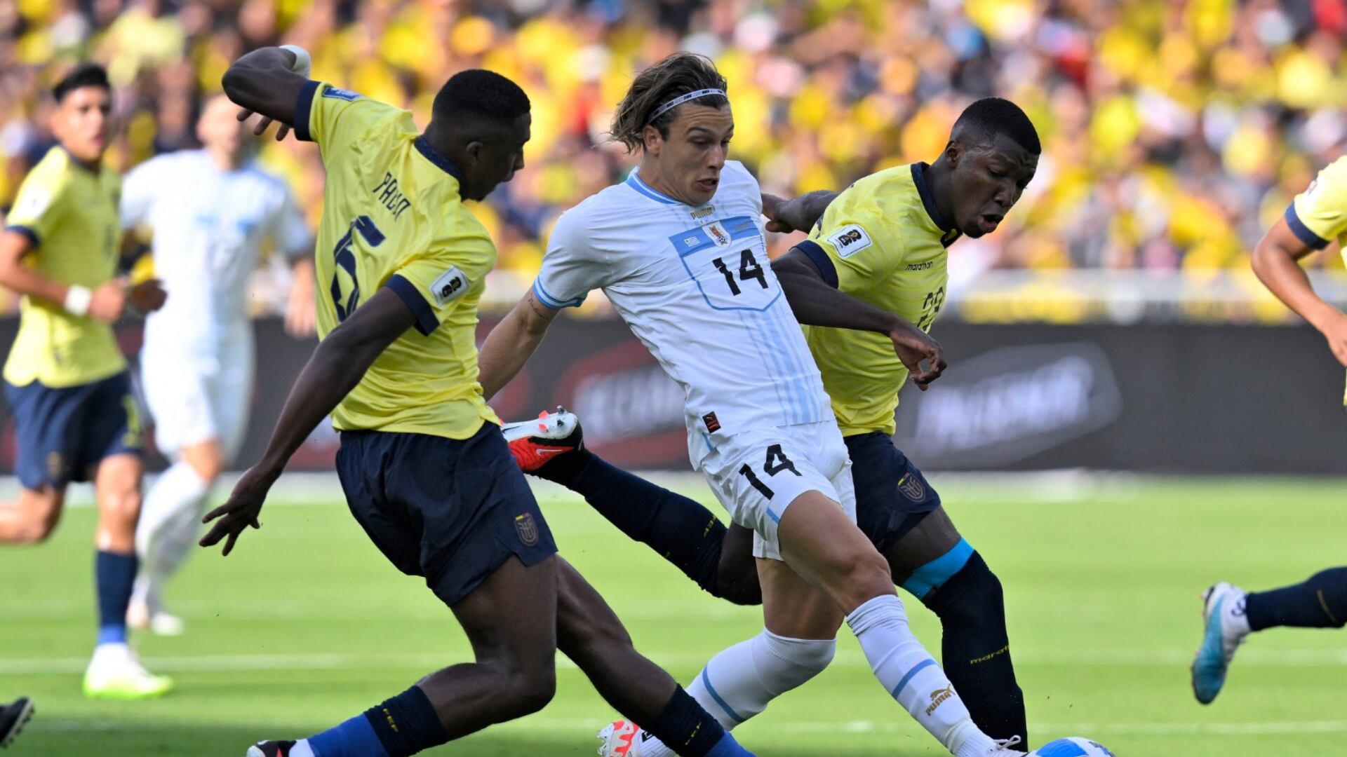 Ecuador juega con Uruguay por la jornada 2 de las Eliminatorias 2026. - créditos: AFP