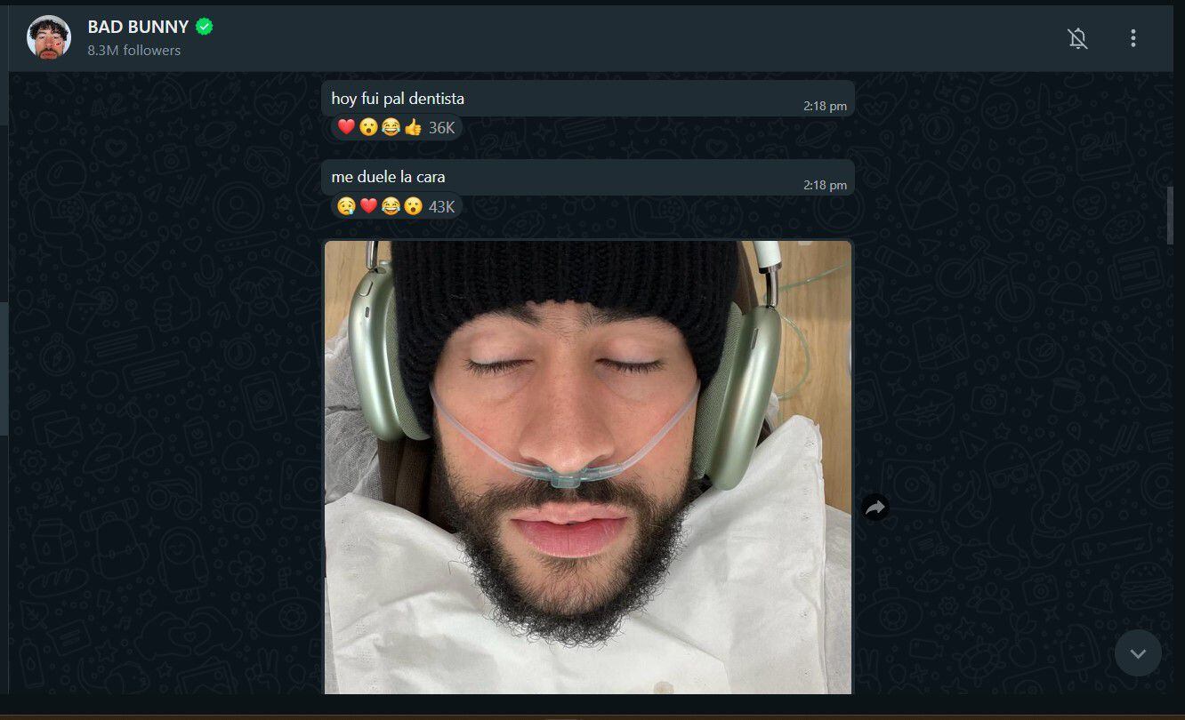 El cantante puertorriqueño ha compartido varios momentos con sus fanáticos - crédito Bad Bunny/Canal de WhatsApp