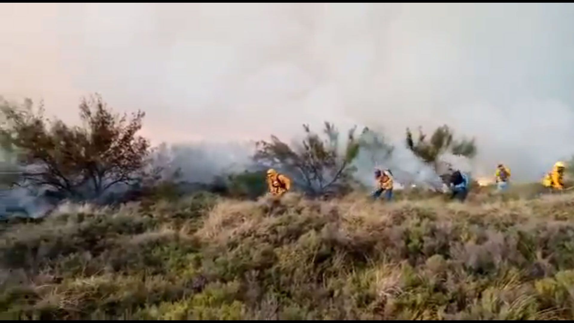 México - Incendio - Incendio Forestal - Área Natural Protegida