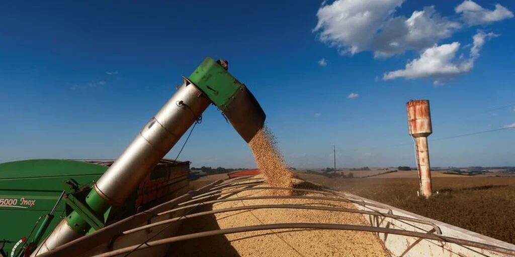 Con muy lento el ritmo de liquidación, el campo ingresó un 16% menos de dólares que el año pasado