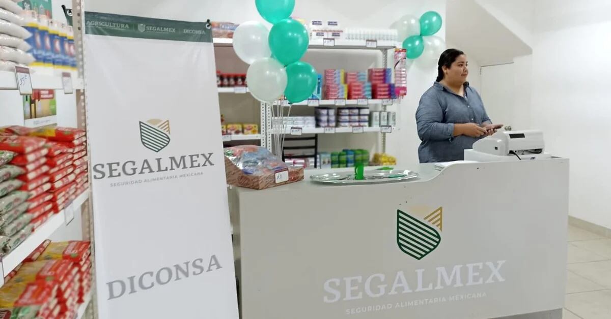 Segalmex affair: Diconsa is ordered to report on the “phantom” purchase of 20,000 tonnes of powdered milk
