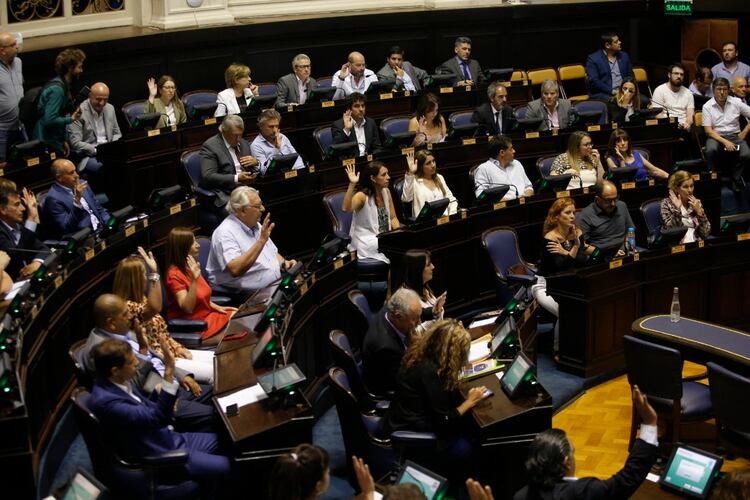 Los diputados bonaerenses votaron la media sanción de la ley impositiva (Santiago Salva)