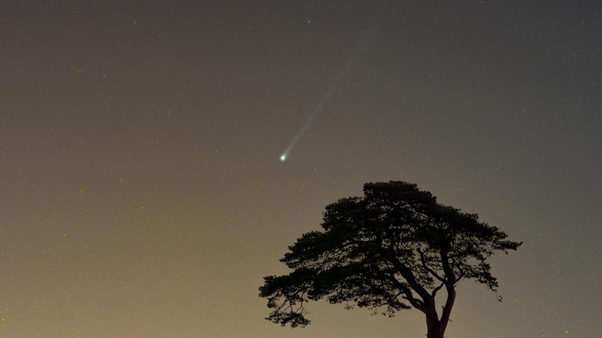 El llamado 'cometa diablo' puede ser captado después del atardecer con binoculares y posiblemente a simple vista.