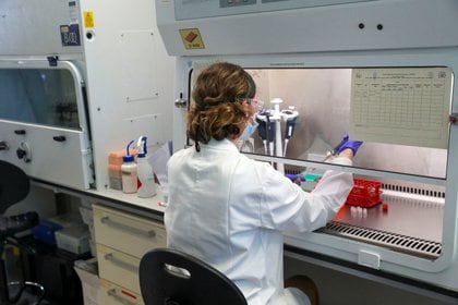 Una científica trabaja en las instalaciones del Grupo de Vacunas de Oxford en el Hospital Churchill de Oxford (Steve Parsons/Pool vía REUTERS)