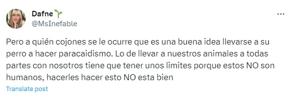 Un tiktoker fue criticado por tirarse de un paracaídas con su perro. (Twitter: @MsInefable)