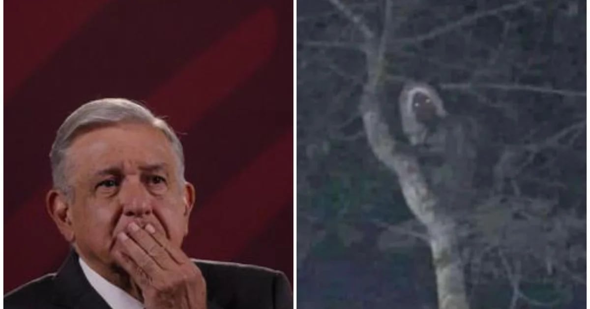AMLO published the photo of the appearance of a supposed Aluxe in the works of the Maya Train: “Everything is mystical”