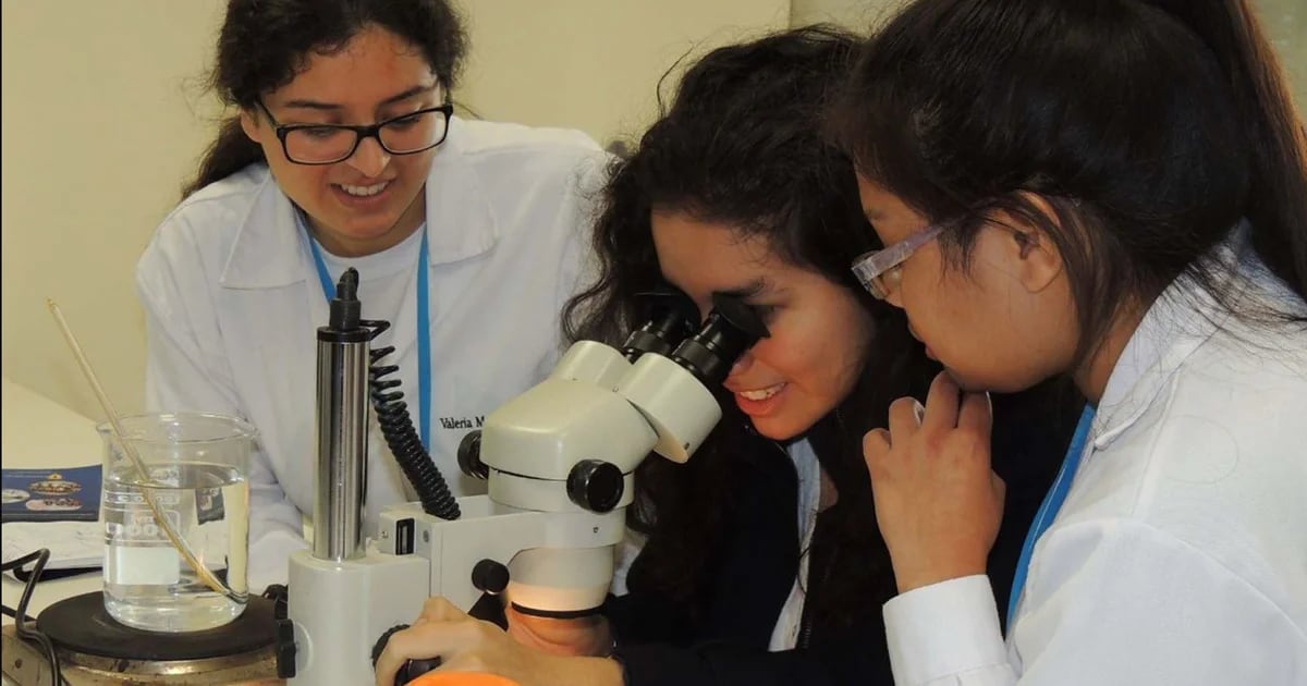 Colombian schools are committed to promoting training in science, technology and mathematics
