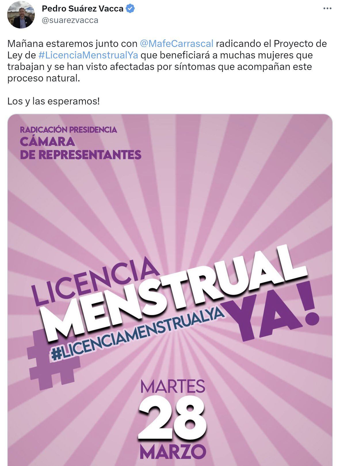 Proyecto de ley para la licencia menstrual
