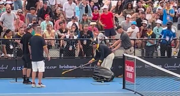 Momento en el que intentar sacar a la serpiente marrón oriental de la pista de Brisbane en el encuentro entre Thiem y McCabe.