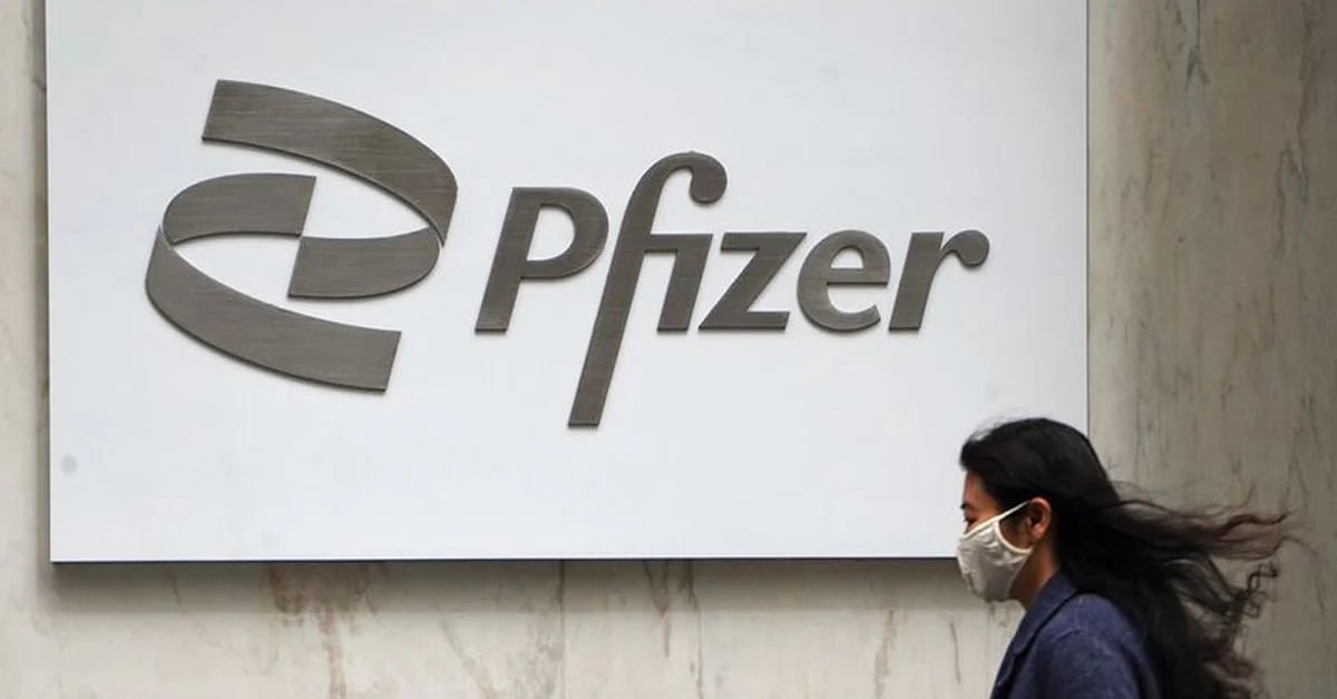 Pfizer will buy 8.1% of the capital of the vaccine company Valneva