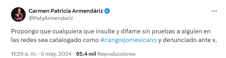 Patricia Carmen Armendáriz propone que aquellos que difamen y mientan sean apodados "cangrejo mexicano" (Captura de Pantalla)