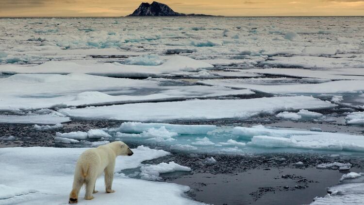 El derretimiento de los glaciares es una de las consecuencias del cambio climÃ¡tico (iStock)