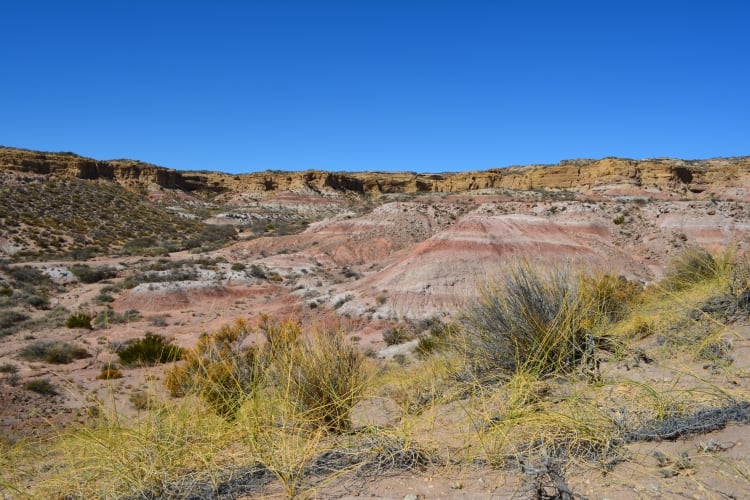 El sitio fosilífero, localizado en el margen sur del embalse Ezequiel Ramos Mexía (Matías Motta)