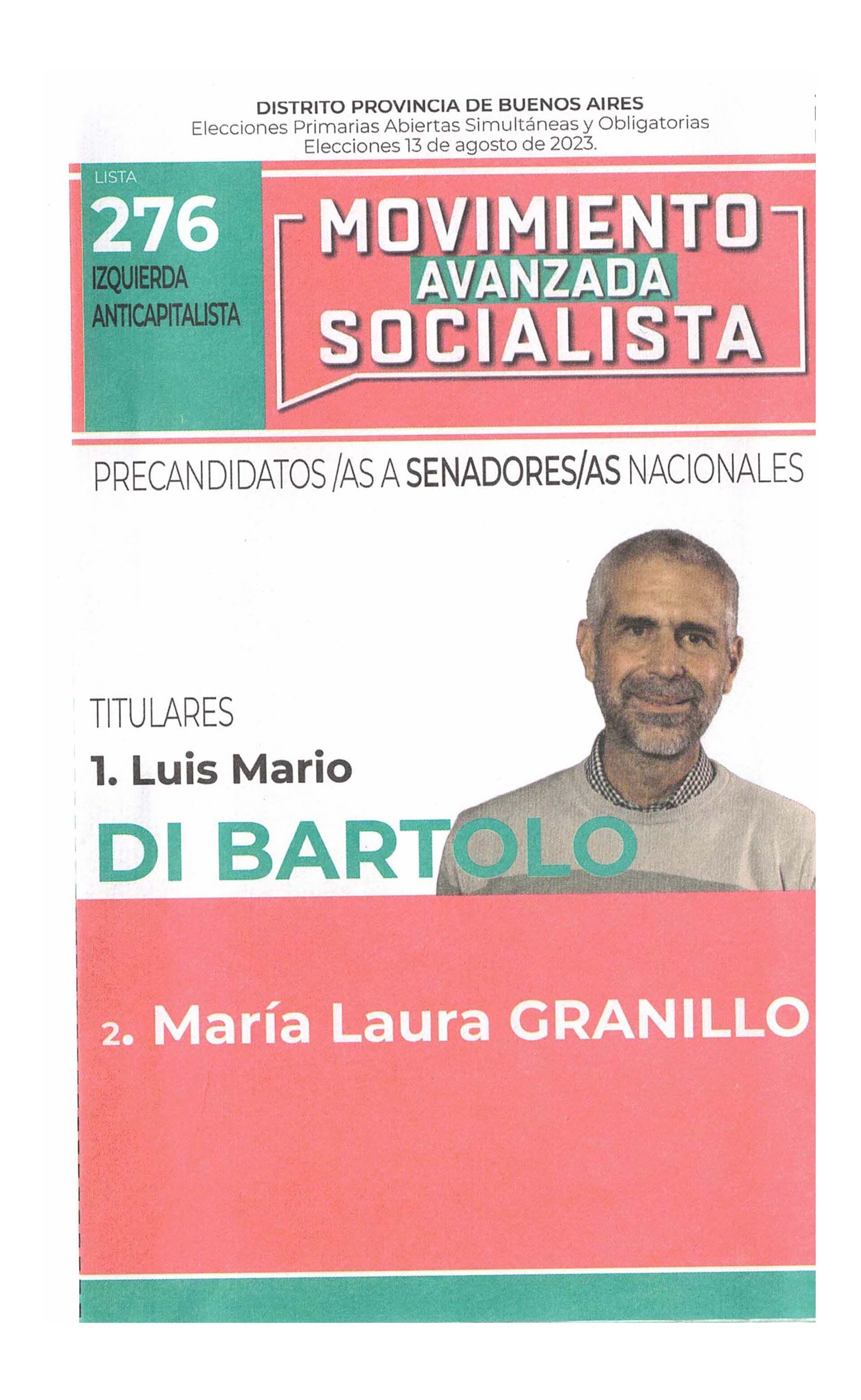 La boleta oficial del Nuevo Mas de precandidatos a senadores nacionales de Buenos Aires