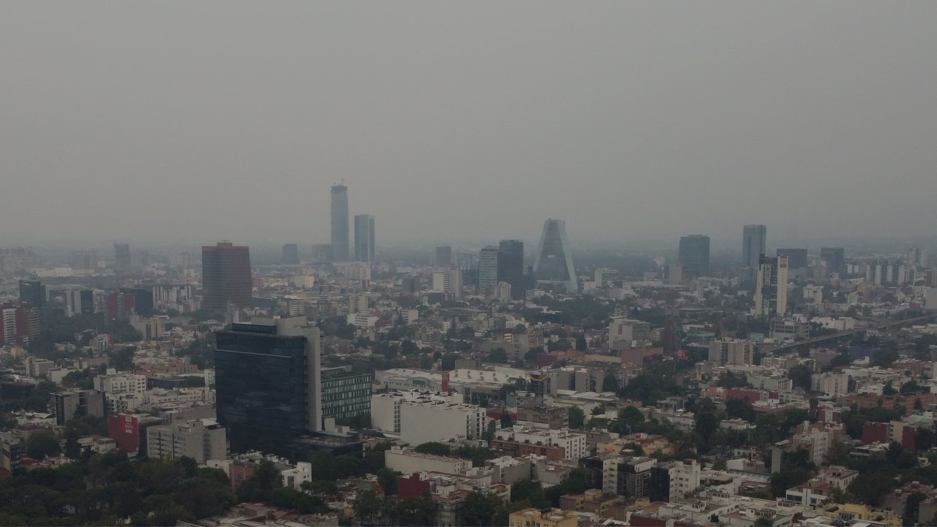 Los incendios forestales contribuyen a  la mala calidad del aire y la formación de smog. (EFE/Sáshenka Gutiérrez).