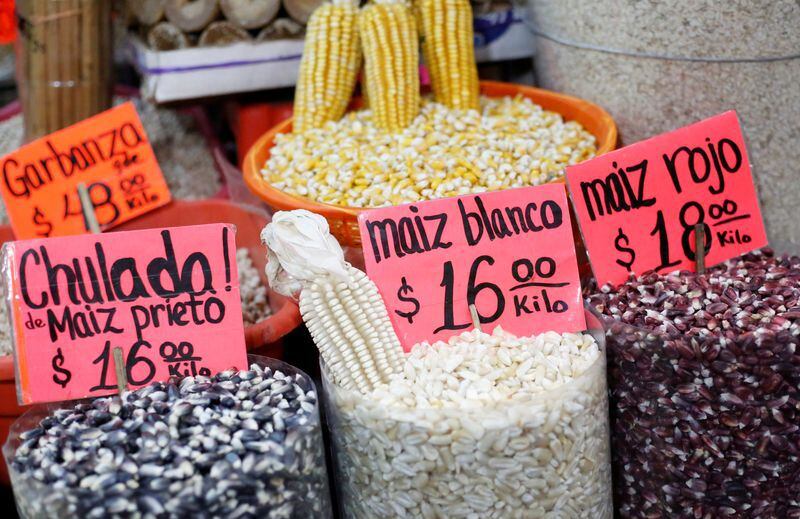 México es el mayor comprador de maíz transgénico de los EEUU, por lo que busca su independencia.(REUTERS/Henry Romero)
