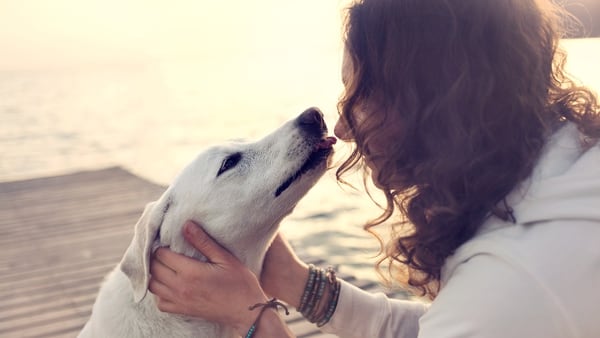 Una de las conclusiones a las que llegaron los investigadores es que las mascotas pueden distinguir si sus dueños están felices o enojados (Getty Images)