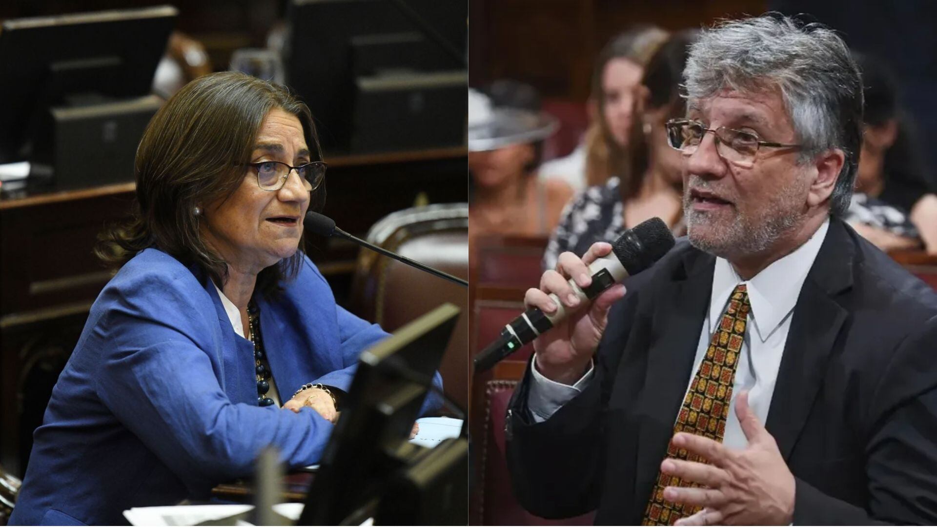Los senadores Lucía Corpacci y Guillermo Andrada fueron los responsables de exigir que el proyecto de ley se debata en la comisión especializada después de las PASO