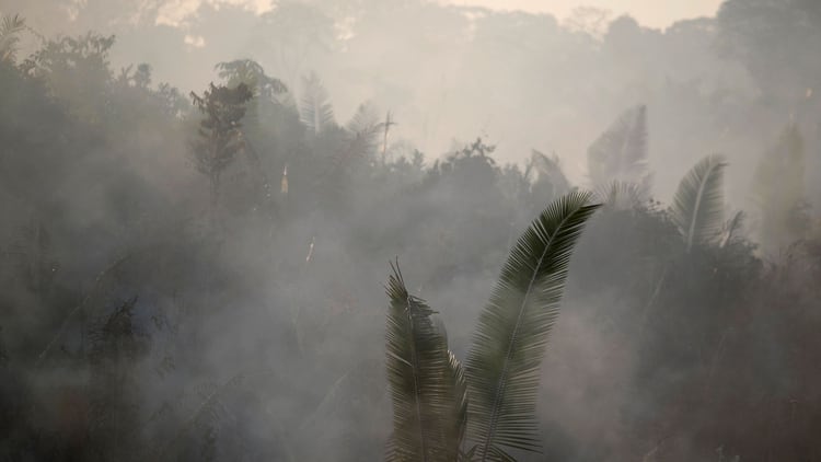 Incendio en el Amazonas (Reuters)