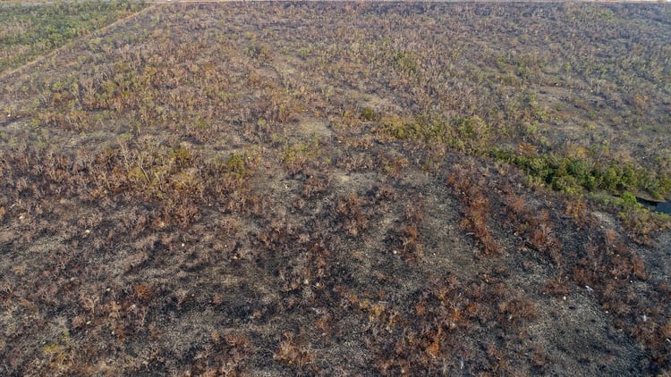 Vista de un área afectada por un incendio, el 20 de agosto de 2019, en el estado de Mato Grosso (Brasil) (EFE/Rogerio Florentino)