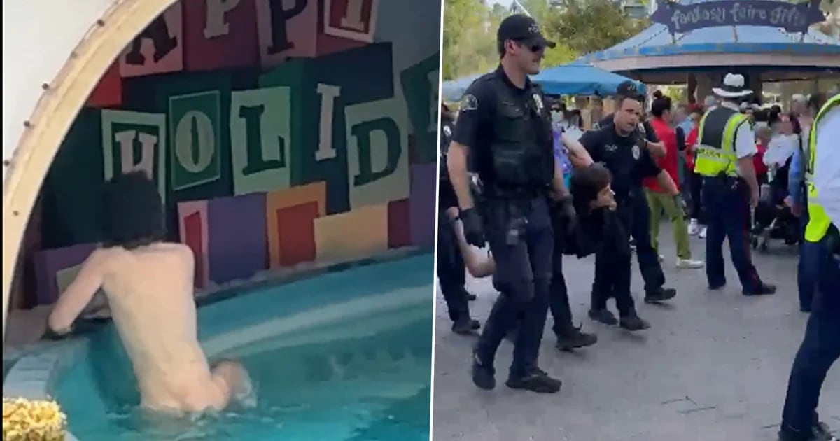 Seorang pria berusia 26 tahun telah ditangkap karena diduga telanjang di atraksi Disneyland